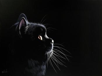 ������. ������ �������