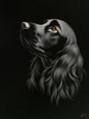 �����-�������� (����� ��������). ������ �������