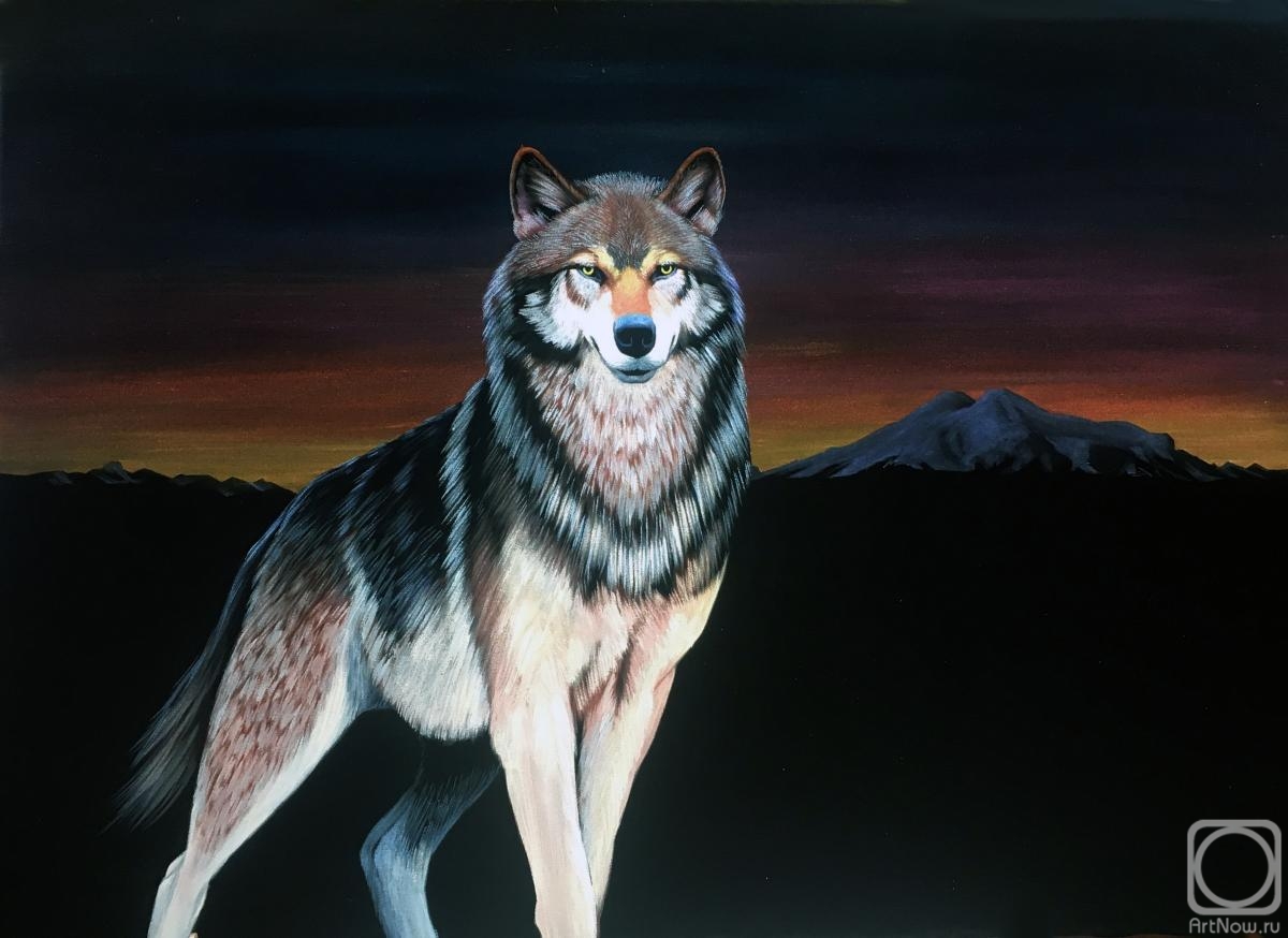 Ebzeev Shaharbi. Lone Wolf