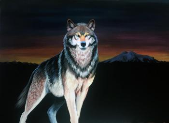 Lone Wolf. Ebzeev Shaharbi