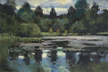 Summer pond. 1979