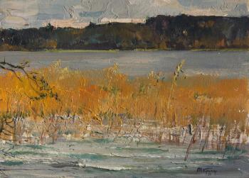 Lake Komsomolskoe, reeds. 1970 ( ). Kremer Mark