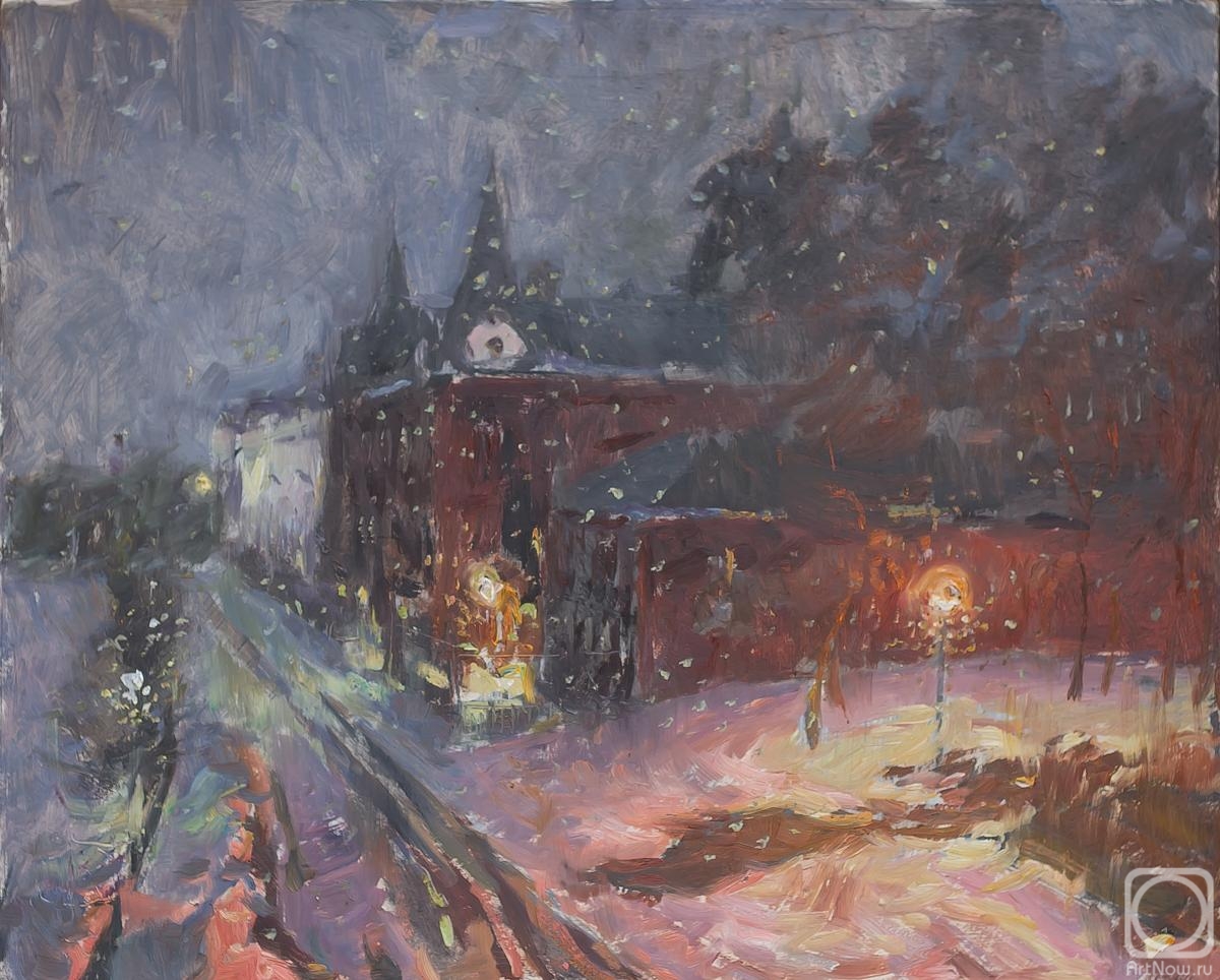 Komov Alexey. Orel. The night snowstorm