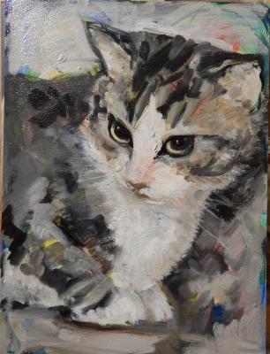 ������� ����