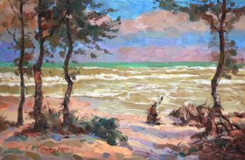 After the storm. Vyrvich Valentin