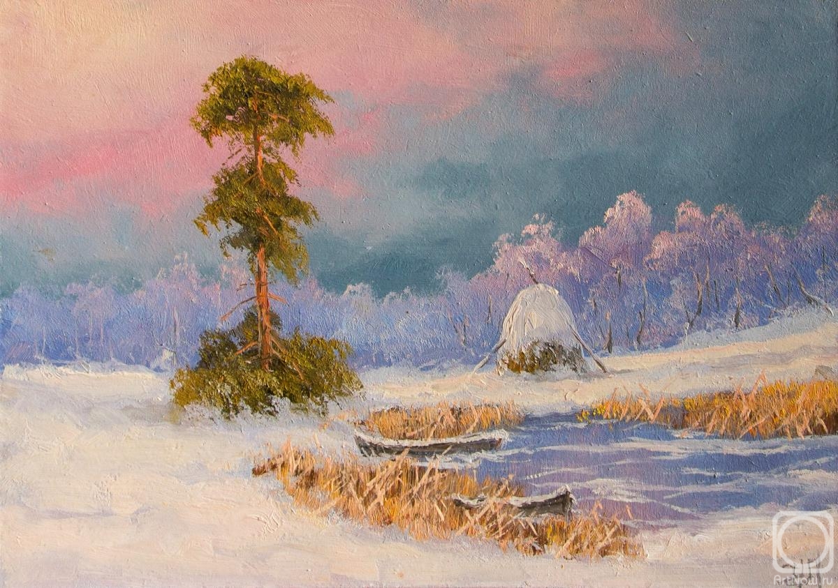 Lyamin Nikolay. The beauty of green pine in the winter forest