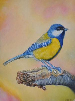 ������� ���� ���������