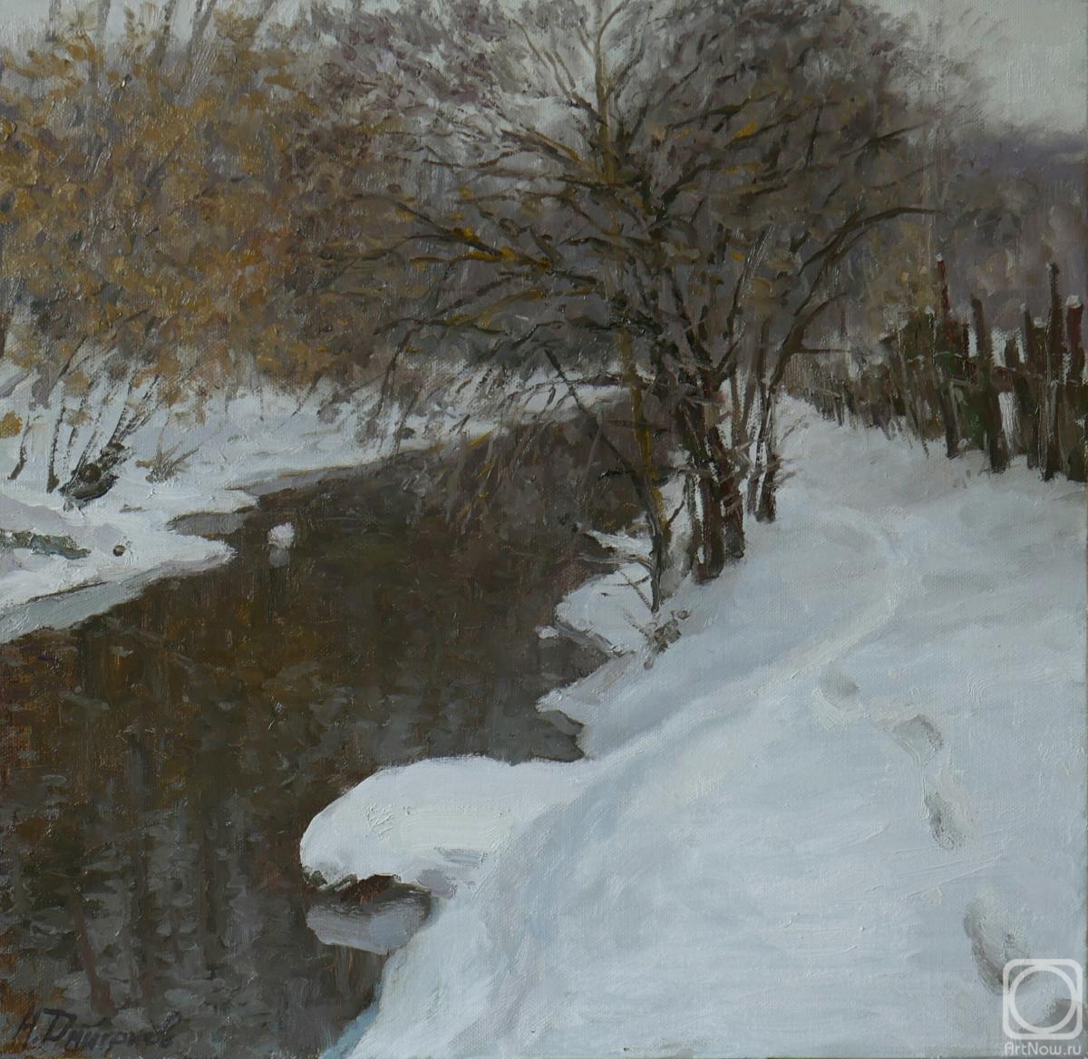 Dmitriev Nikolay. The snow-covered hithe