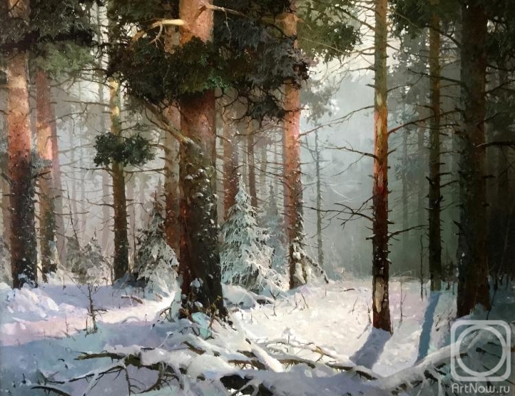 Bykov Viktor. Winter in the forest
