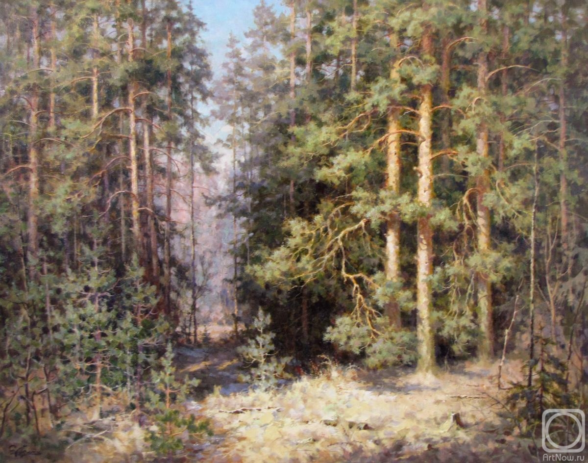 Demin Sergey. In pine's forest
