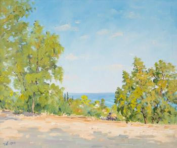 Sea view from the island of Cyprus. Alexandrovsky Alexander