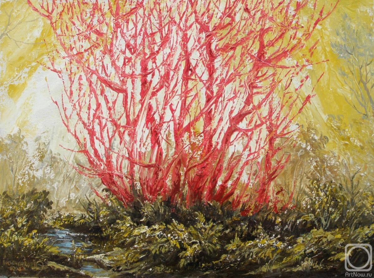 �������. ��������� ����. ������� ���������