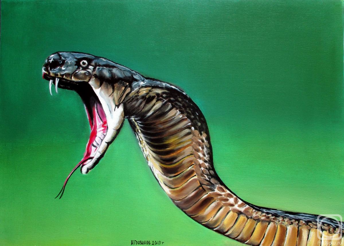 ������� ������ �� ������. �������� �����. �����