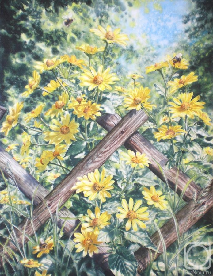 Golubkin Sergey. Yellow daisies