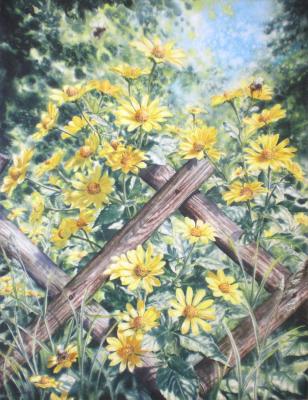 Yellow daisies. Golubkin Sergey
