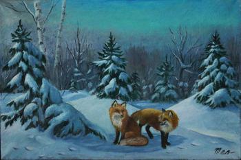 Foxes in winter