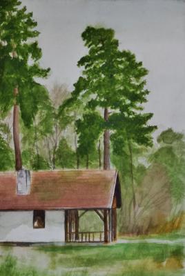 The cabin in the woods. Schitz Viktor