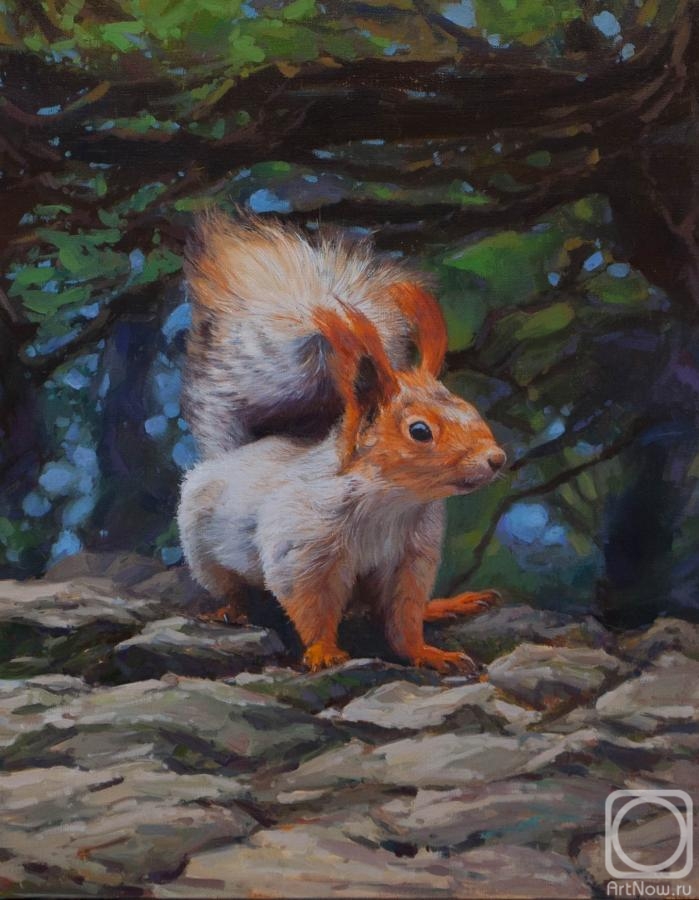 Burtsev Evgeny. Squirrel. Vorontsov Park