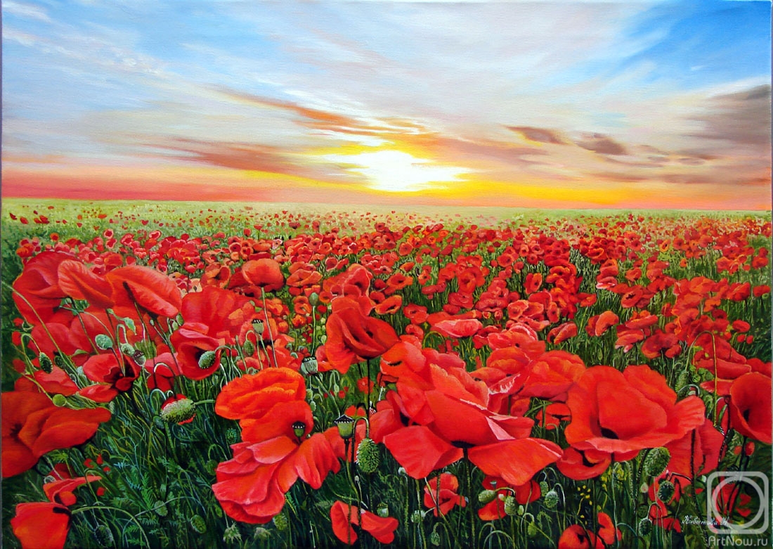 Kabatova Nadya. Field of poppies