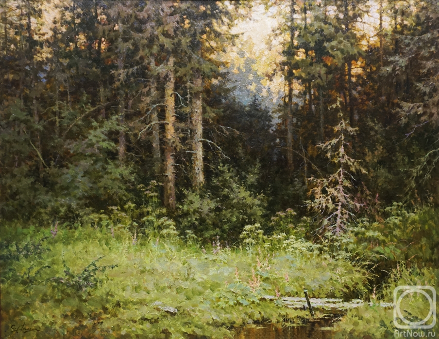 Demin Sergey. Forest stream