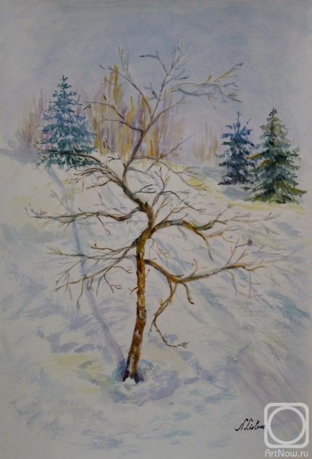 �������. ������� �������. ������������ �����