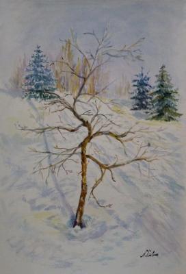 ������� ������������� �����