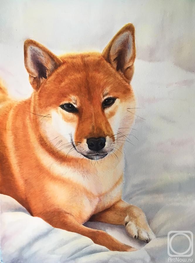 �������. ���������� �����. �����