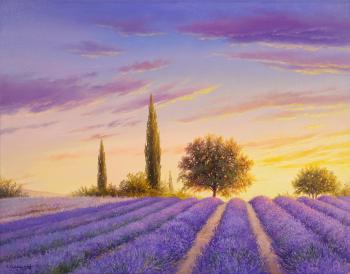 Lavender dreams (Buy Picture With Lavender). Zhaldak Edward