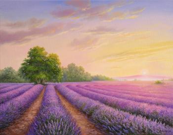 ������� ���������� ����