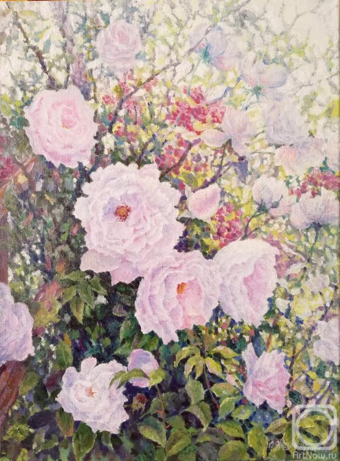 Yakimets Olga. Delicate roses