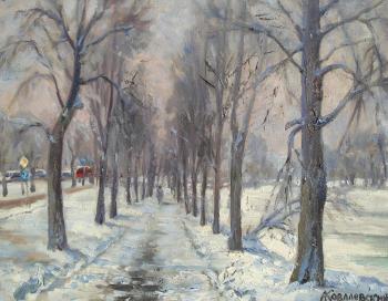 Winter alley in Izmailovo. Kovalevscky Andrey