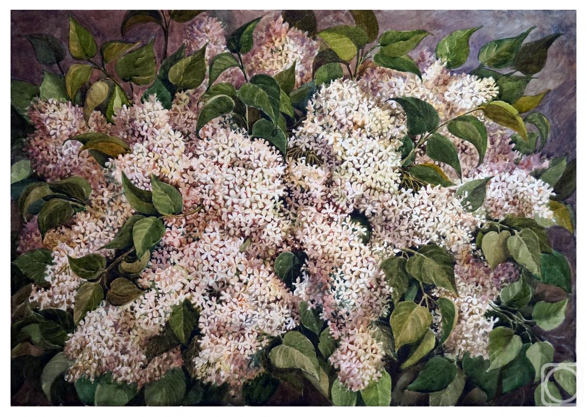 �������. ��������� �������. ����� ������