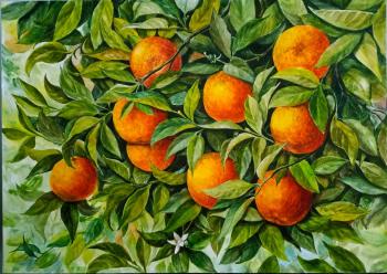 ������� �����������