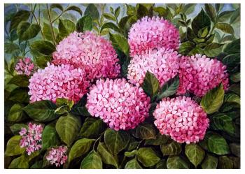 ������� ����������