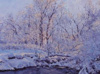 Frost, river. Volya Alexander
