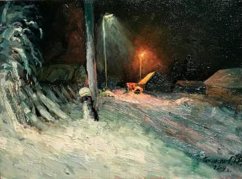 Night in the village. Pospelov Daniil
