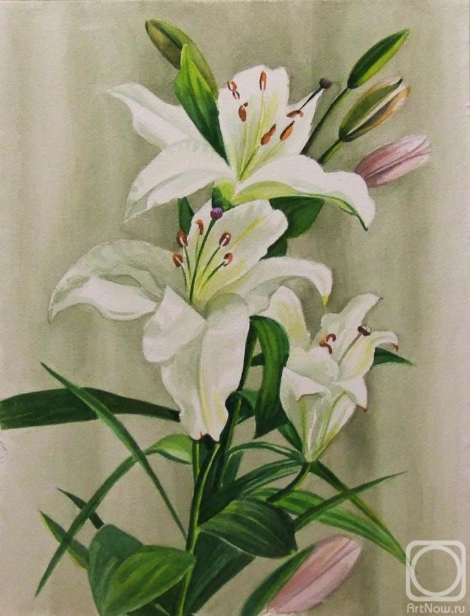Levina Galina. White lilies