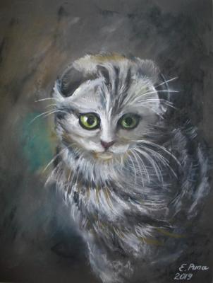 We ourselves are not local, Scottish, we...