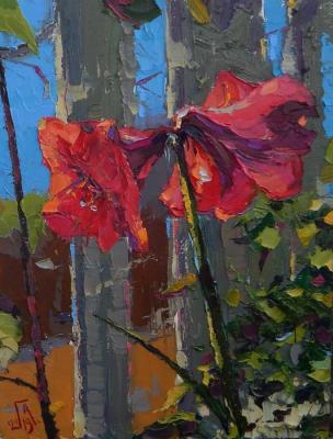 ������� �� ����� ������