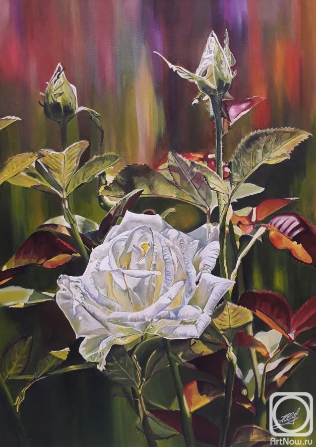 �������. ����������� ����. ���� � ����