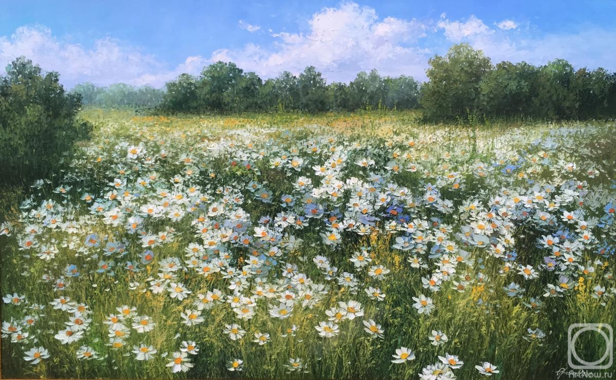 Orlova Olesya. Field of daisies