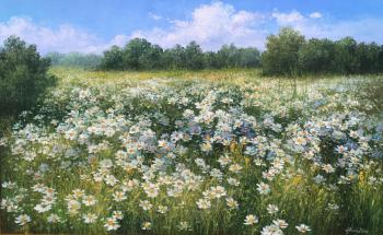 Field of daisies. Orlova Olesya