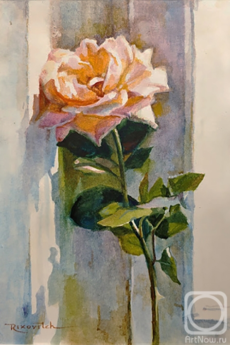 Volkov Sergey. Rose
