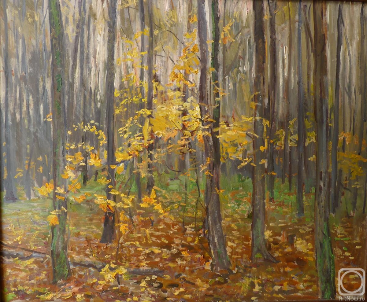 Komov Alexey. Autumn in the forest