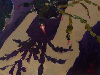 ������� ��� ����������� ��������