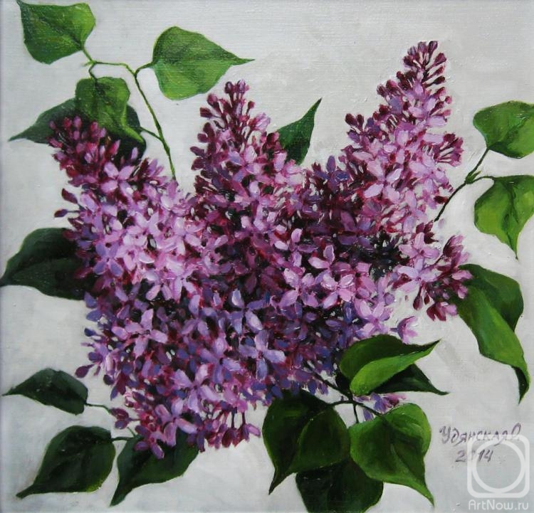 Udyanskaya Olga. Untitled