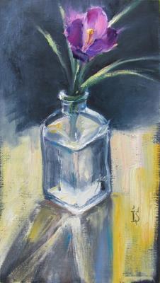 The herald of Spring