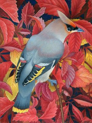 ����������. ���������� ��������