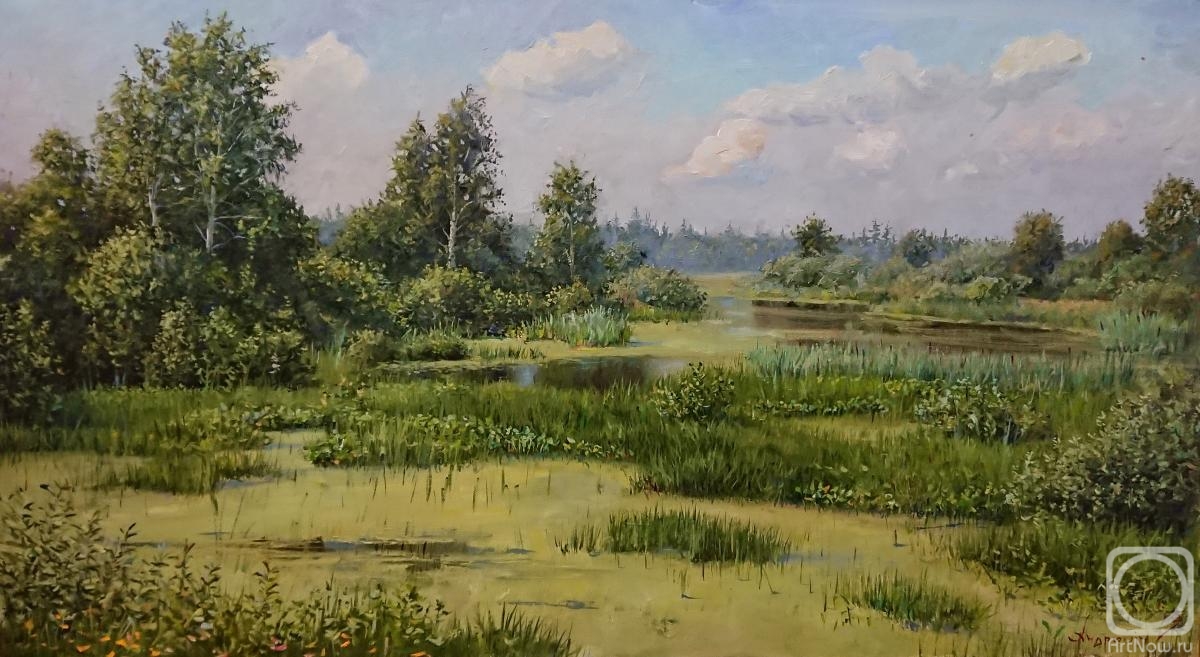 Andrushin Arsenij. Scenic swamp