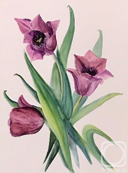 Lukaneva Larissa. Purple tulips